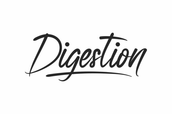 Digestion Font Review