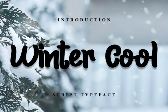Winter Cool Font: Stylish and Unique